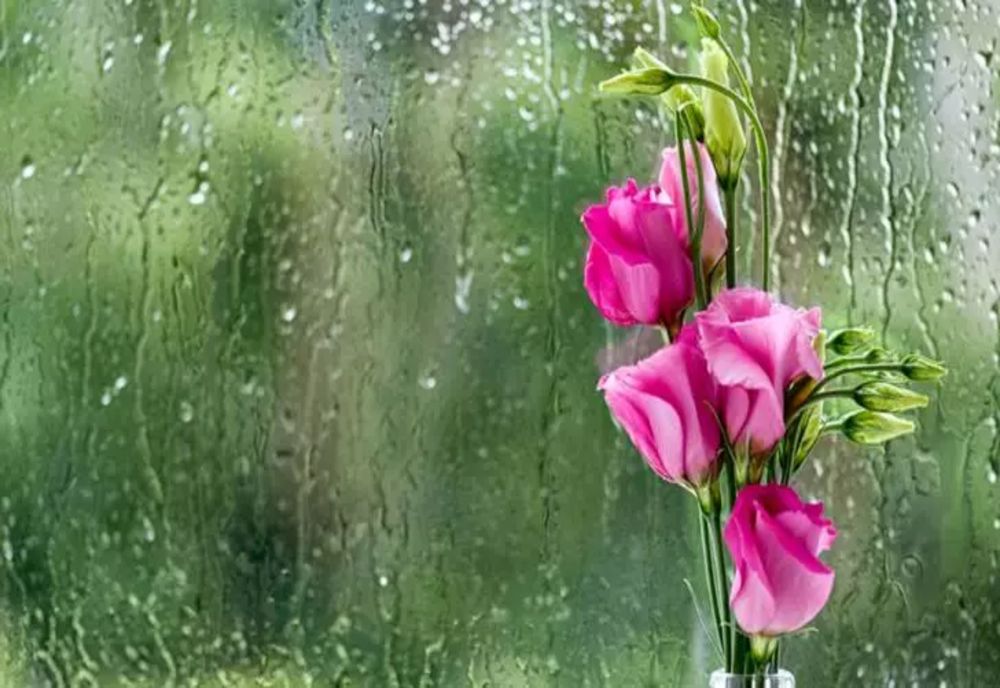 Fenomene meteo extreme continuă în România - Unde vor fi vijelii, grindină și vânt puternic - Anunțul ANM