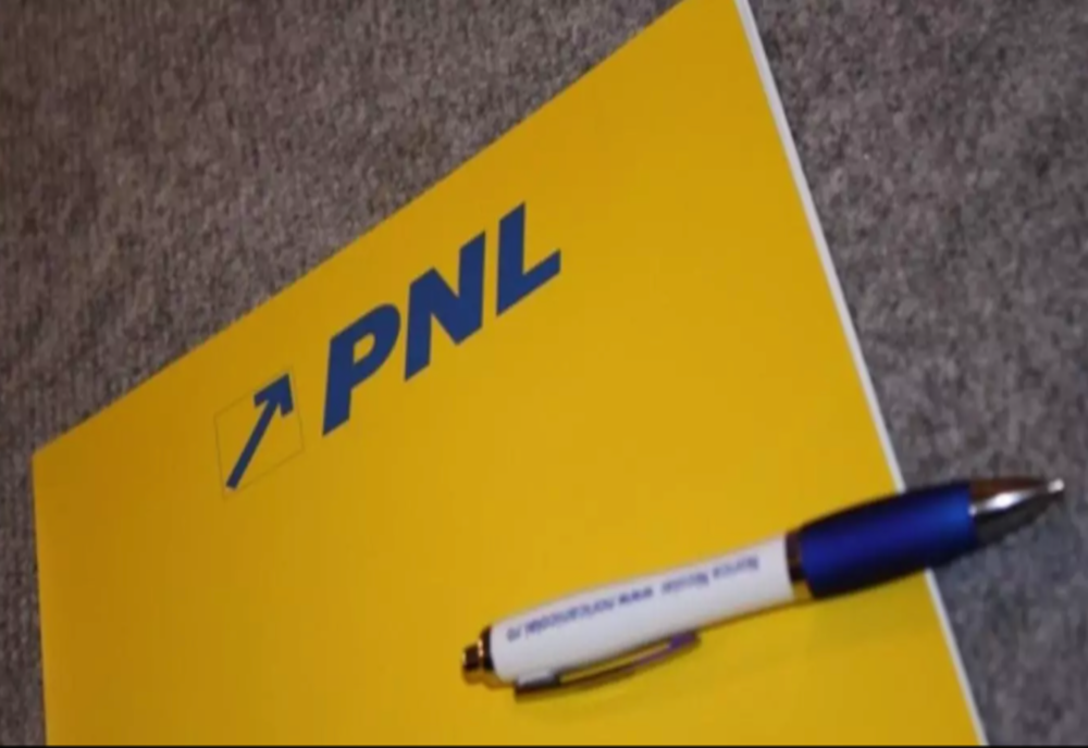 Legea pensiilor | Liberalii susțin o reducere semnificativă a vârstei de pensionare pentru mame