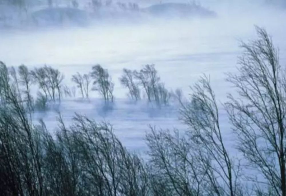 Avertizare ANM - Cod galben și portocaliu de vânt puternic în mai multe zone. Ninge viscolit la munte