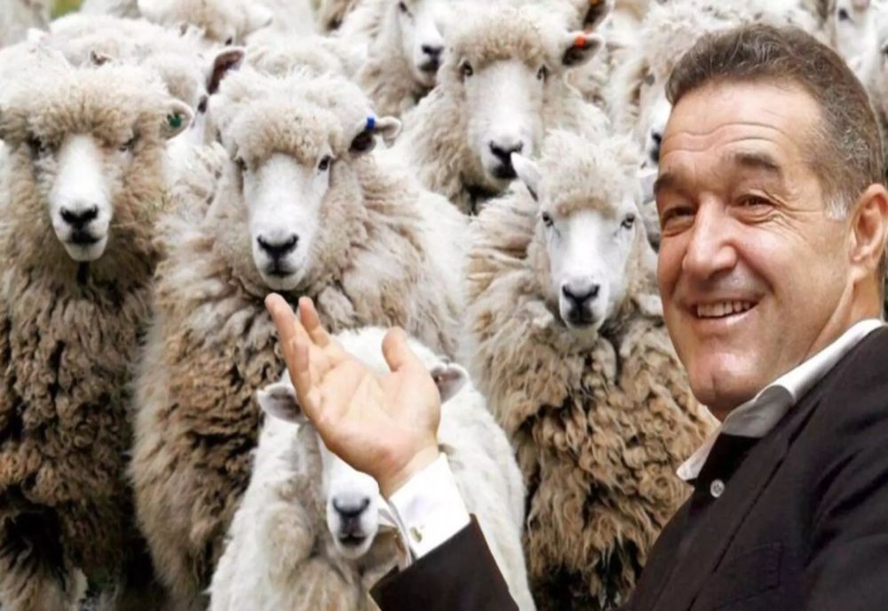 REALITATEA PLUS DESCINDE LA FERMA URBANĂ A OIERULUI GIGI BECALI: TRANSMISIUNE-BOMBĂ DIN INIMA ORAȘULUI - LIVE VIDEO