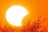 Milioane de oameni au privit spre cer: cum s-a văzut eclipsa de Soare în Europa