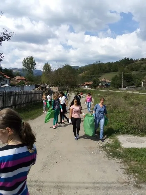 poza 5 curatenie metes