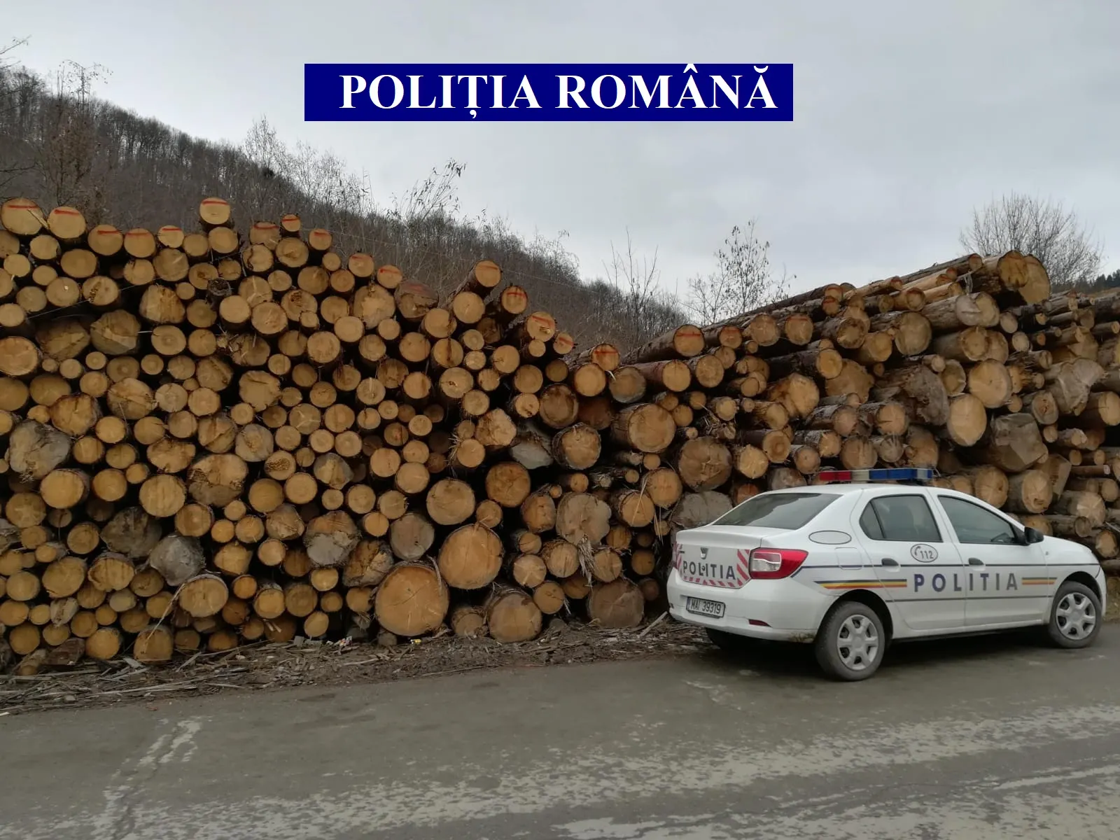 poza 1