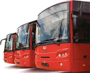 autobuze stp alba iulia