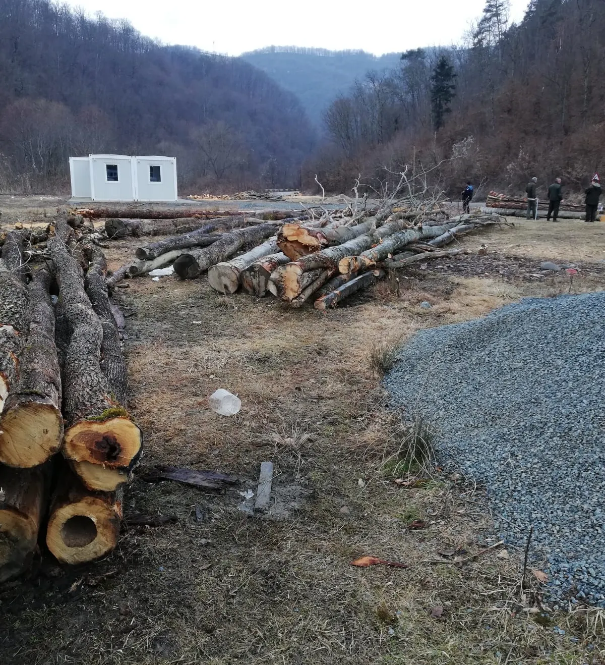 lemn 1