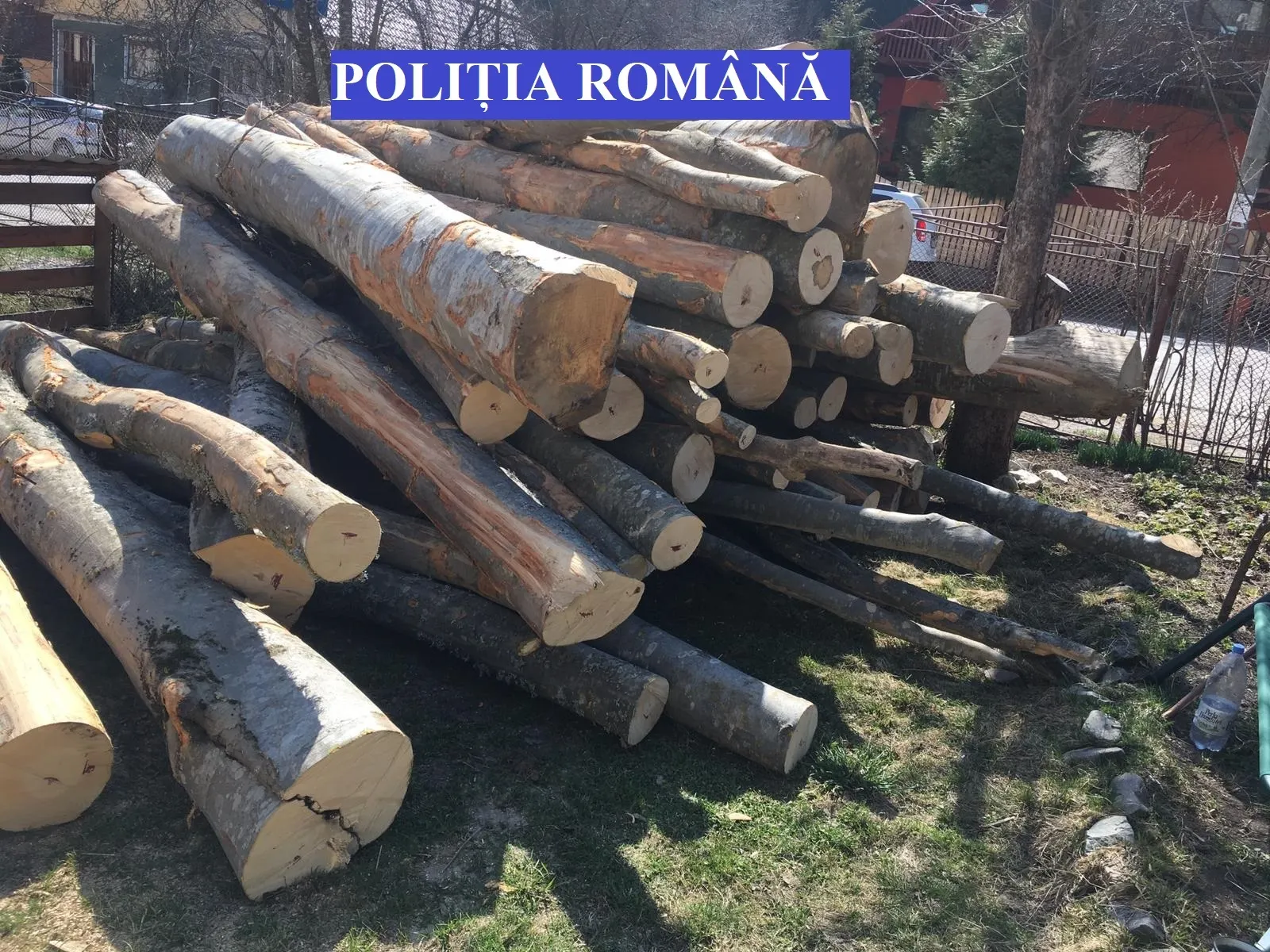 scutul padurii