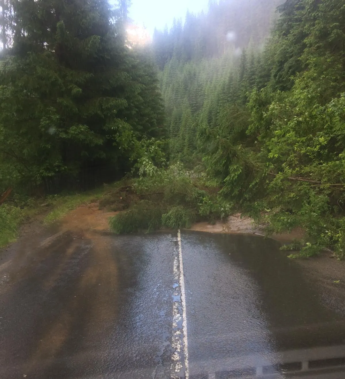 IMG-20190624-WA0022 (1)