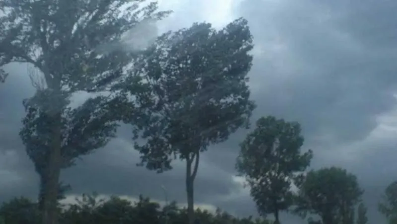 alerta-meteo