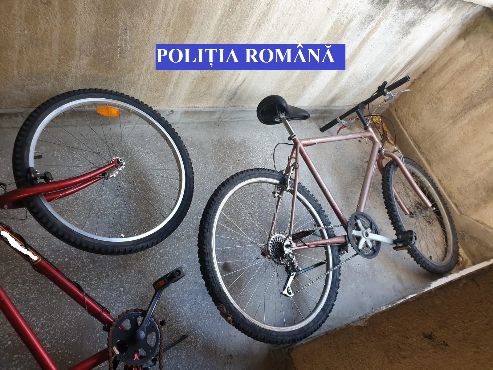 biciclete 3