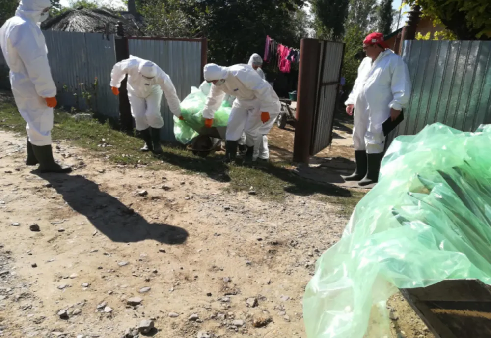 Măsuri pentru combaterea Pestei Porcine Africane la mistreț și sfaturi pentru crescătorii de proci.