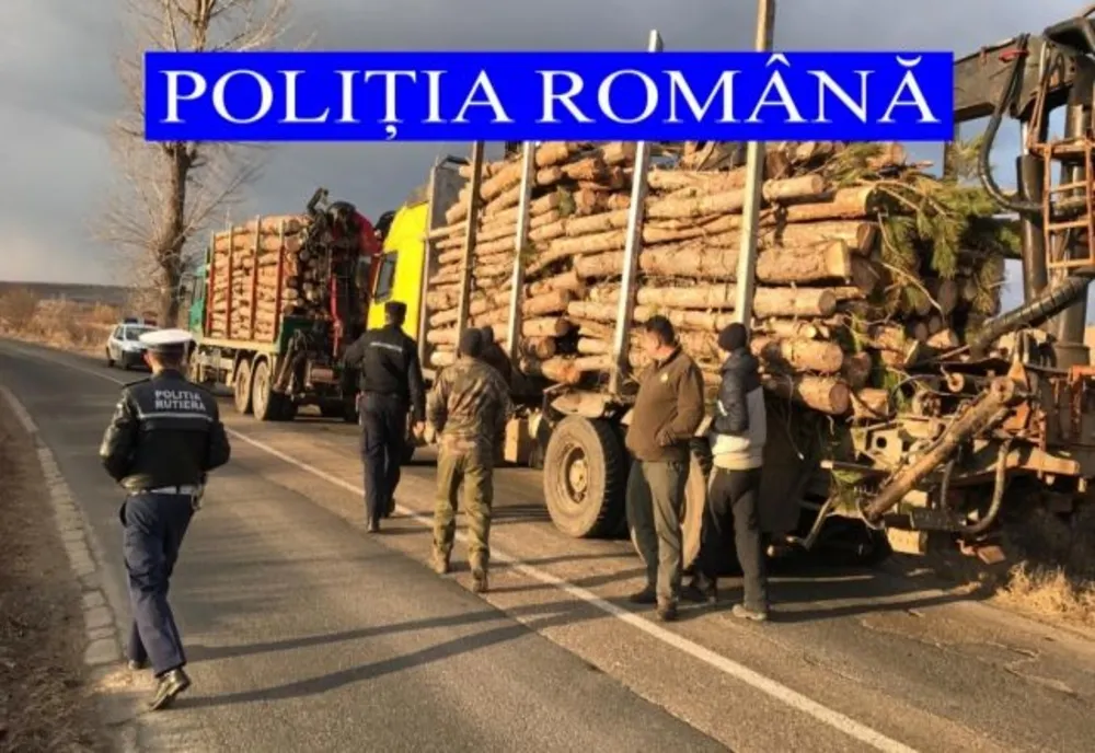 SCUTUL PĂDURII : Amenzi în valoare de 19.500 de lei și 140 mc de material lemnos confiscat de polițiștii din Alba.