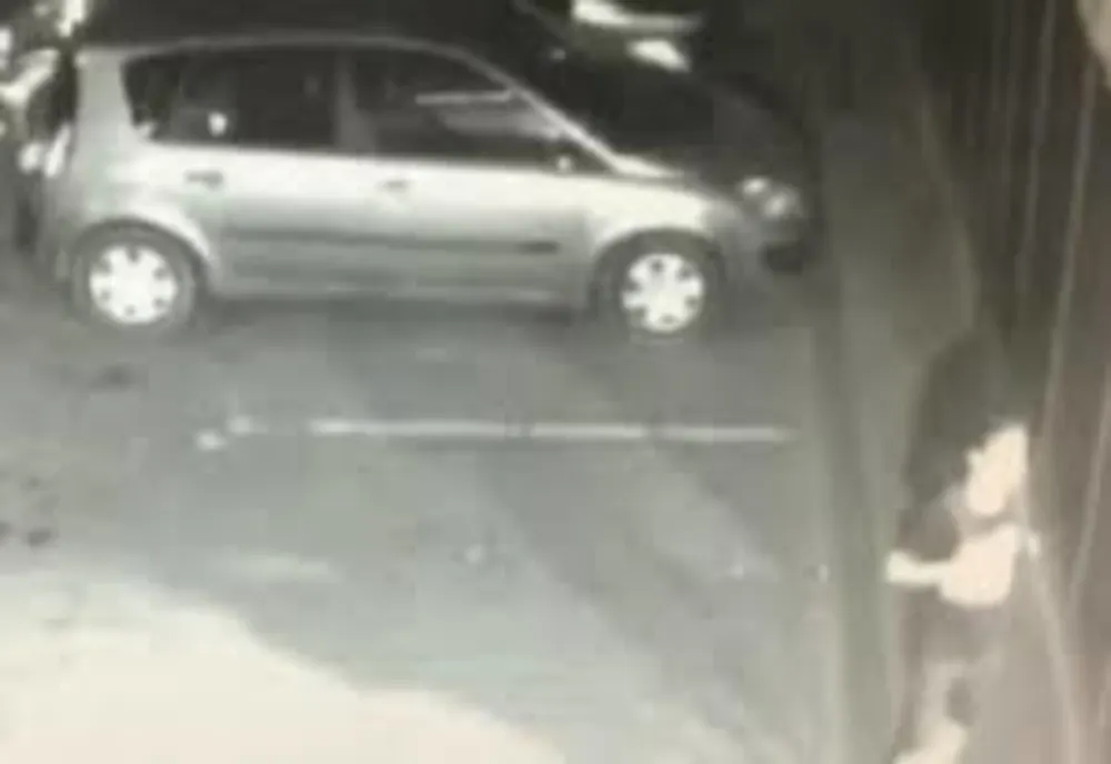 A fost necesară intervenția cu focuri de armă pentru prinderea unui hoț în Sebeș
