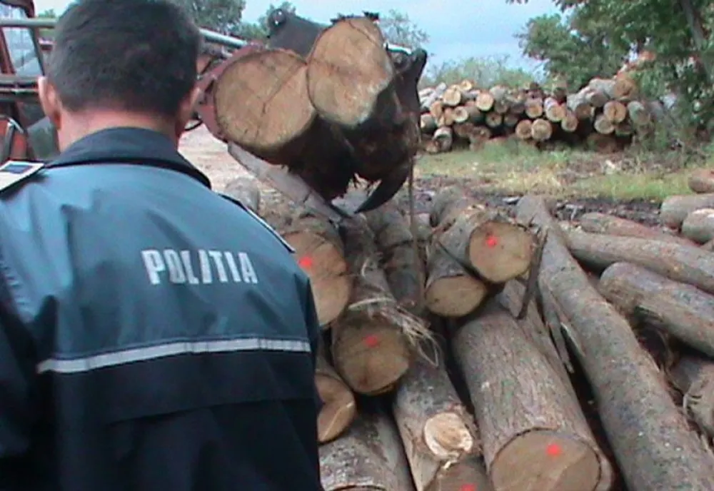 Polițiștii din Apuseni au confiscat 20 de metri cubi de material lemnos