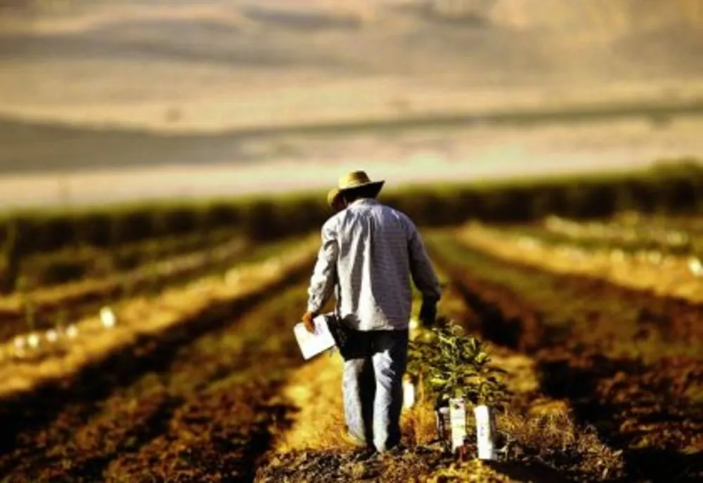 A fost demarată a doua sesiune de concesionare a terenurilor cu destinație agricolă către tinerii fermieri