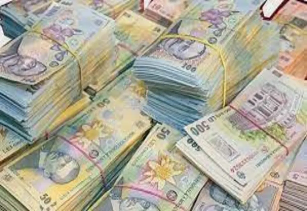 Ministerul Finanţelor propune crearea cadrului general pentru înfiinţarea Băncilor Naţionale de Dezvoltare. Care este scopul acestor instituţii 