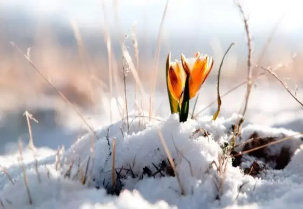 Vremea 15 februarie - Temperaturi ridicate pentru luna februarie