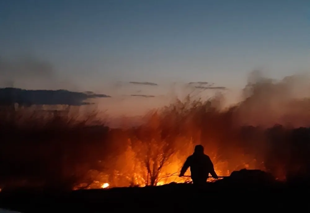 Dosare penale pentru distrugere din culpă și sancțiuni contravenționale pentru incendieri de vegetație uscată 