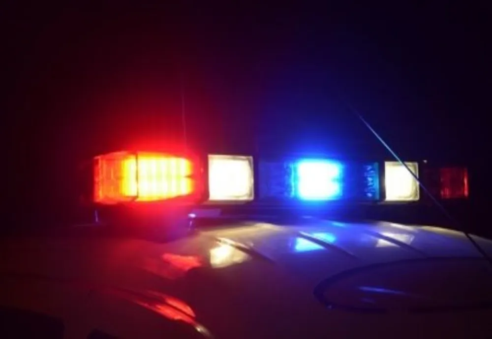 Prinși de patrula de poliție când furau șine metalice