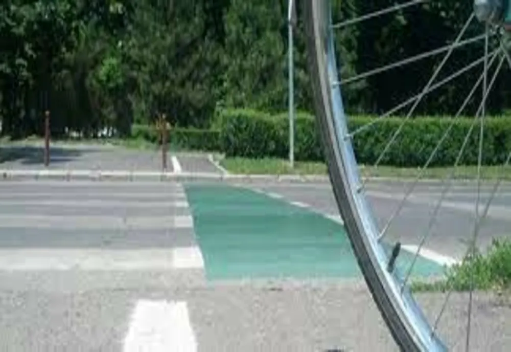 A traversat stada pe bicicletă și a fost accidentat