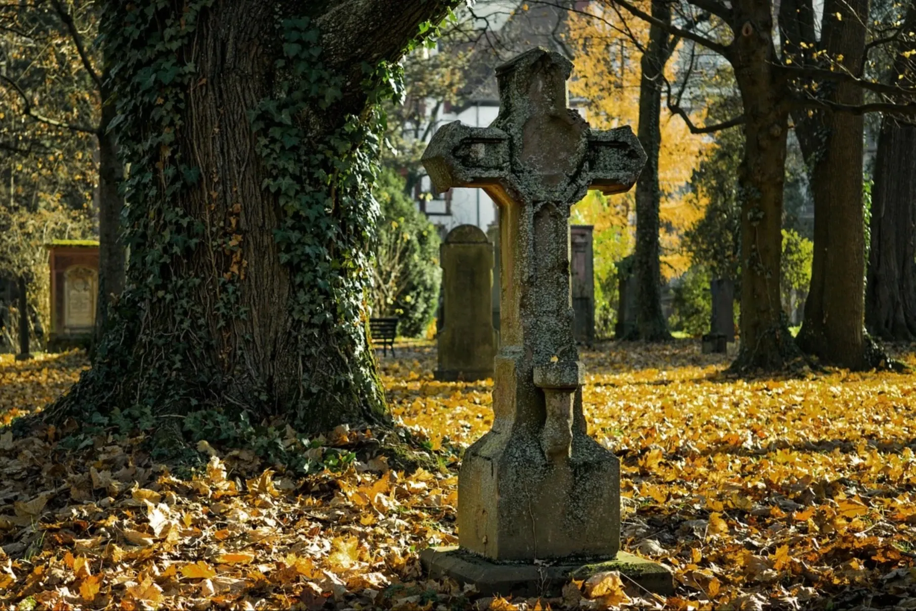 FOTO: Pixabay.com