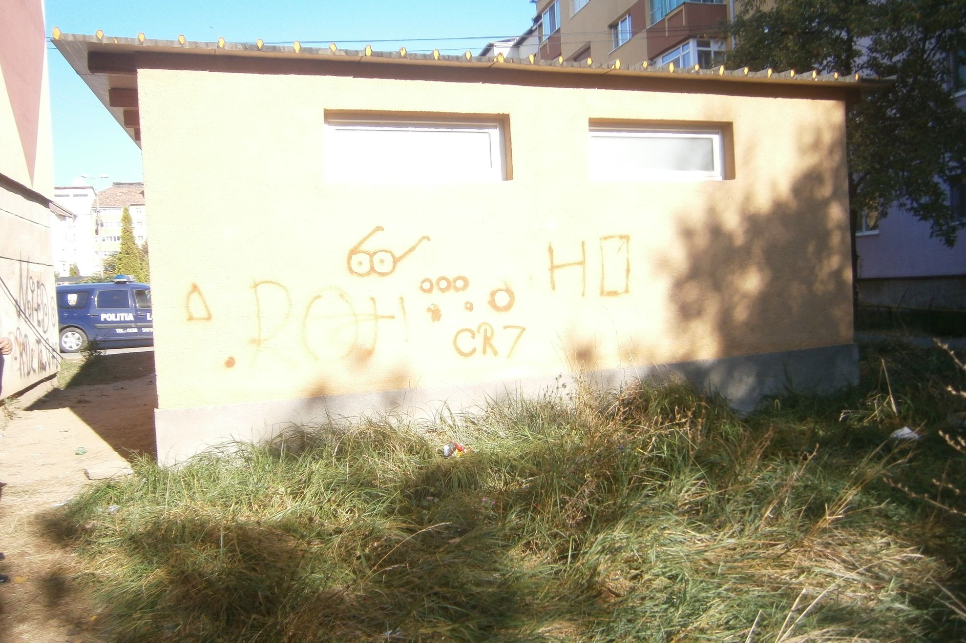 Minori din Alba Iulia prinși în timp ce mâzgăleau un bloc