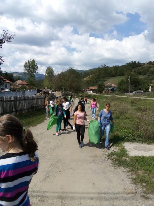 poza 5 curatenie metes