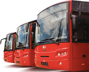 autobuze stp alba iulia