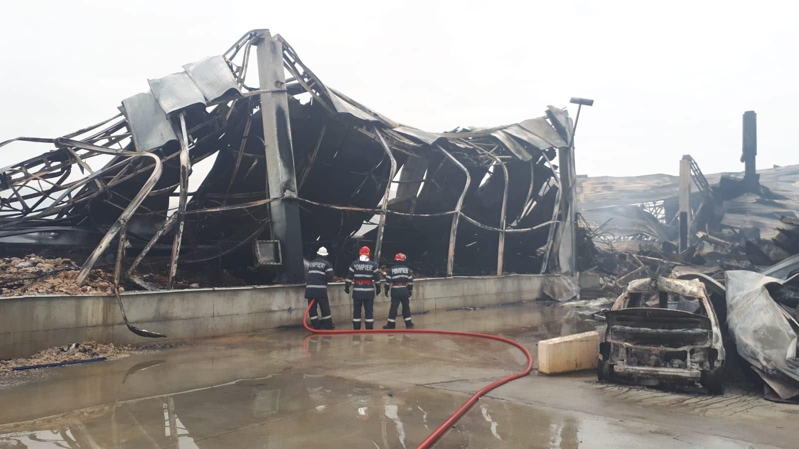 51109545_1898214780308097_2968929751479091200_n