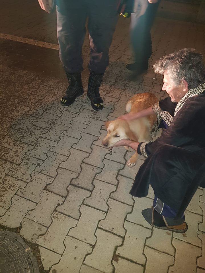 51436202_2477446278993088_3815565644875694080_n