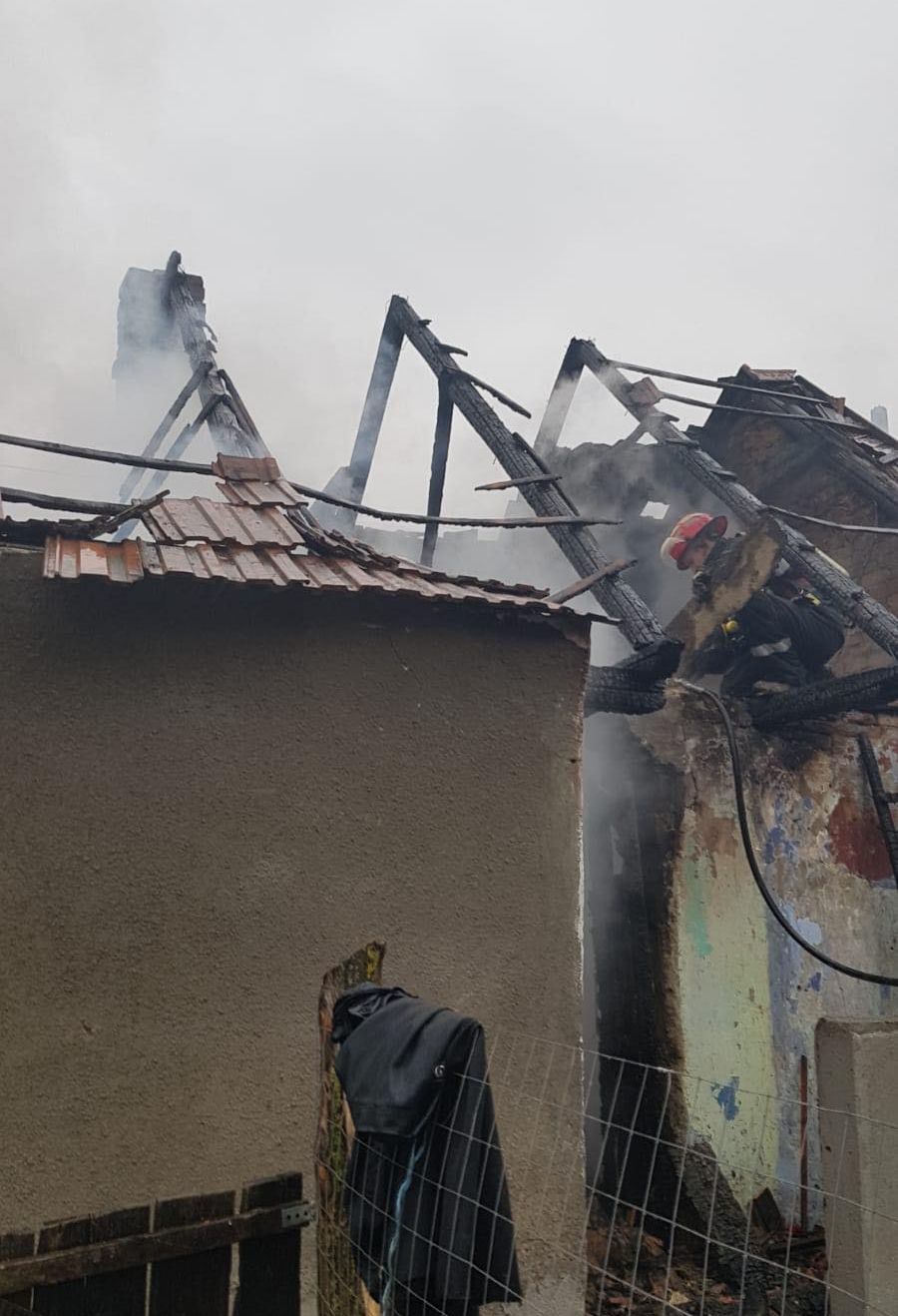 52743998_1989782101090580_6280497536973144064_n