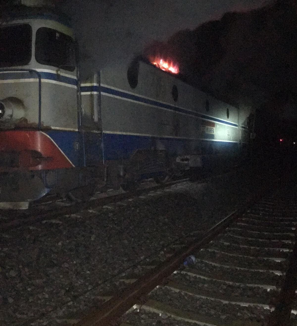 59636068_347417102799891_9195824116618231808_n