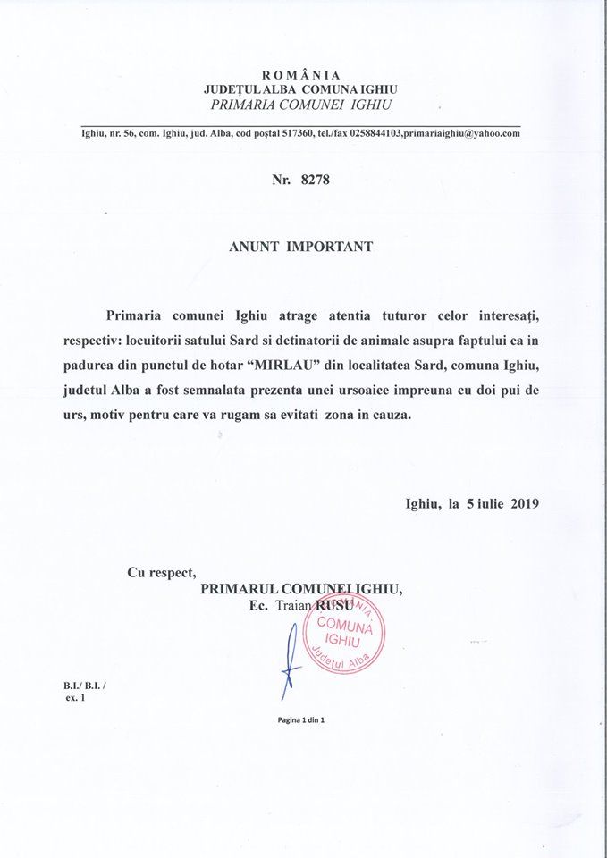 65722046_2061135504194177_260938796743262208_n