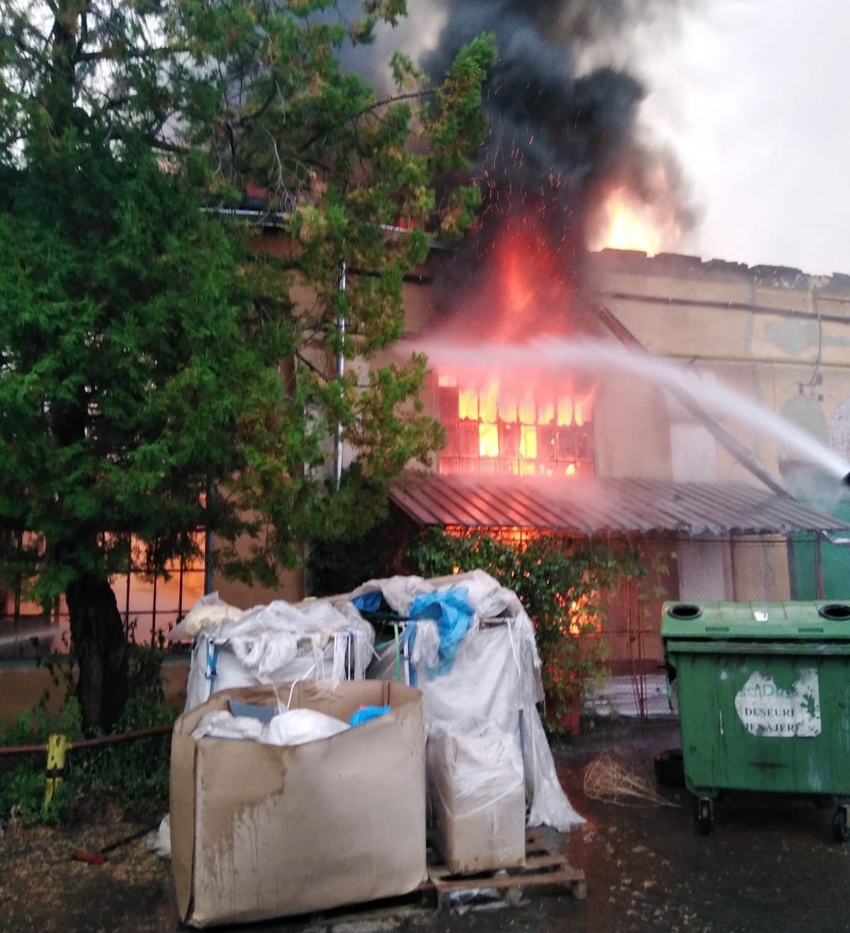 92d44de5-88c5-4a7c-bc57-143f0638c107