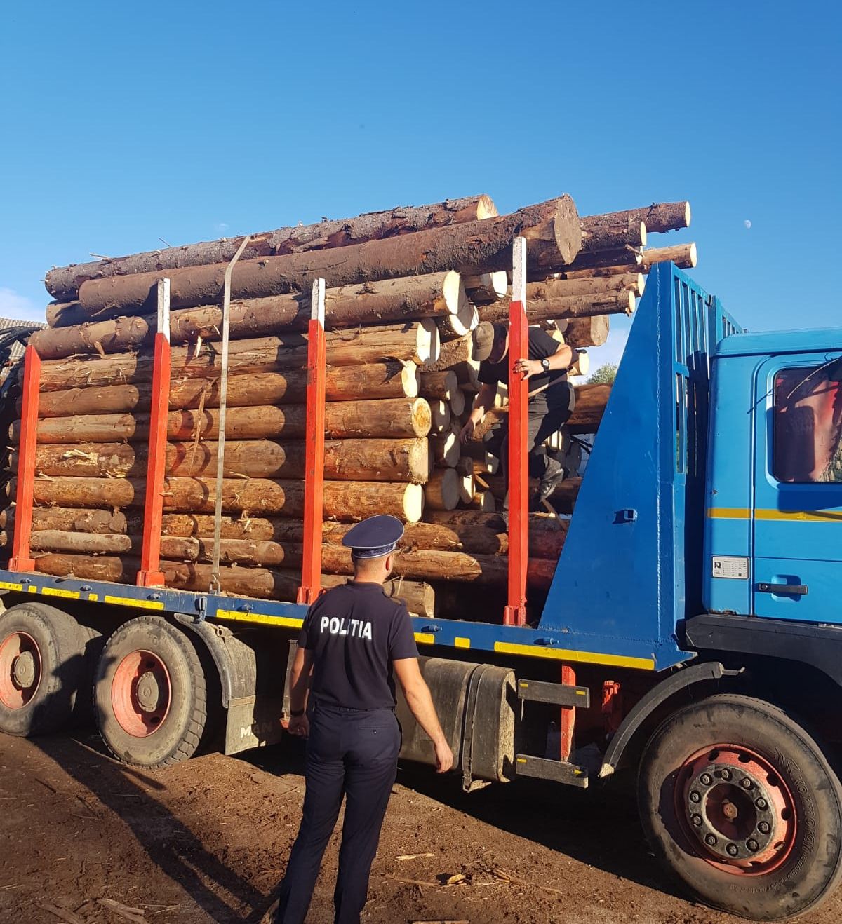 lemn confiscat
