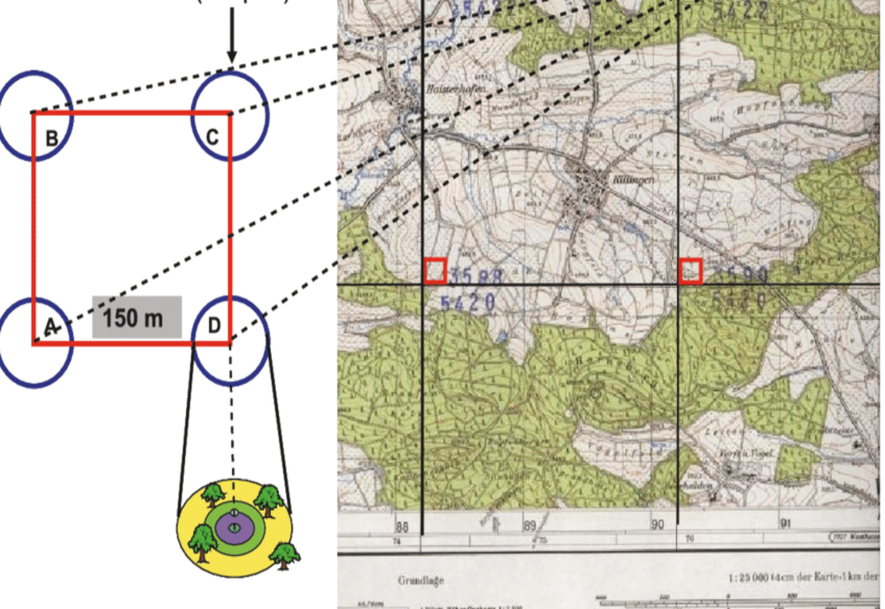 Federația Proprietarilor de Păduri și Pășuni din România - Nostra Silva solicită clarificarea sumei de 20 de milioane mc ”LEMN DISPĂRUT”. ESTE SAU NU UN VOLUM TĂIAT ILEGAL DIN PĂDURILE ROMÂNIEI?