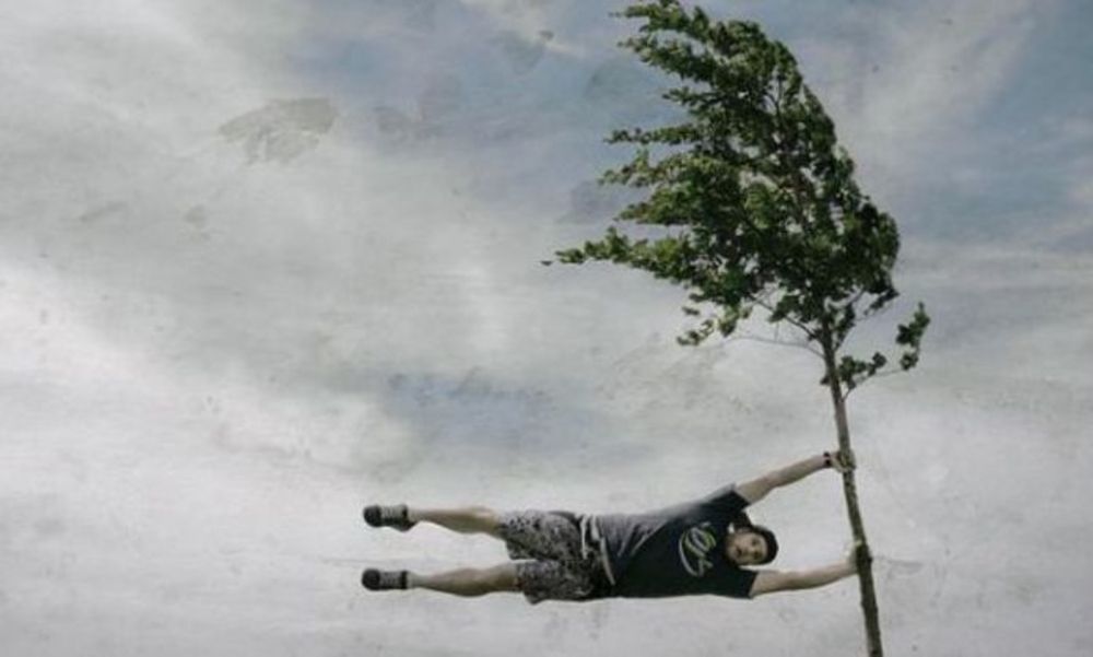 COD GALBEN de vânt în județul Alba