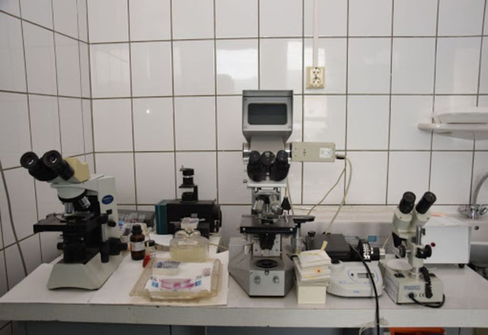 Alba : Contract de finanțare semnat de DSVSA  și CRFIR 7 Centru în vederea achiziționării de echipamente pentru diagnosticarea Pestei Porcine Africane