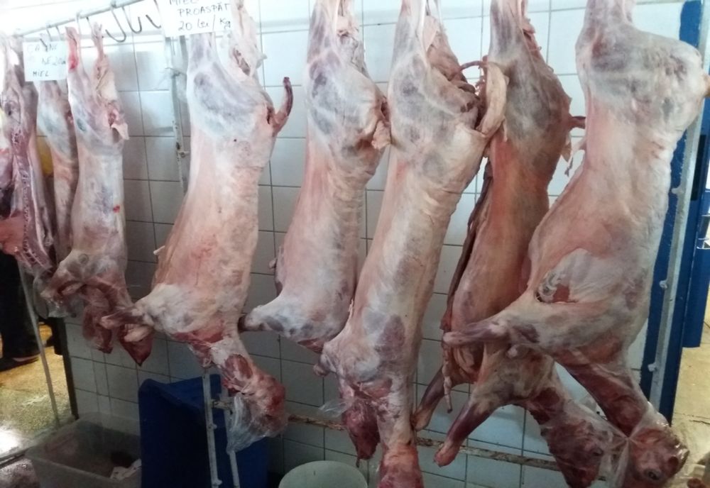 DSVSA Alba : Crescătorii de ovine își pot sacrifica mieii în abatoarele autorizate sanitar veterinar și pentru siguranța alimentelor 