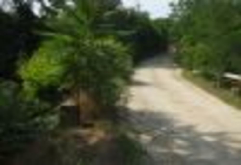 Încep lucrările la podul de peste Valea Orzii