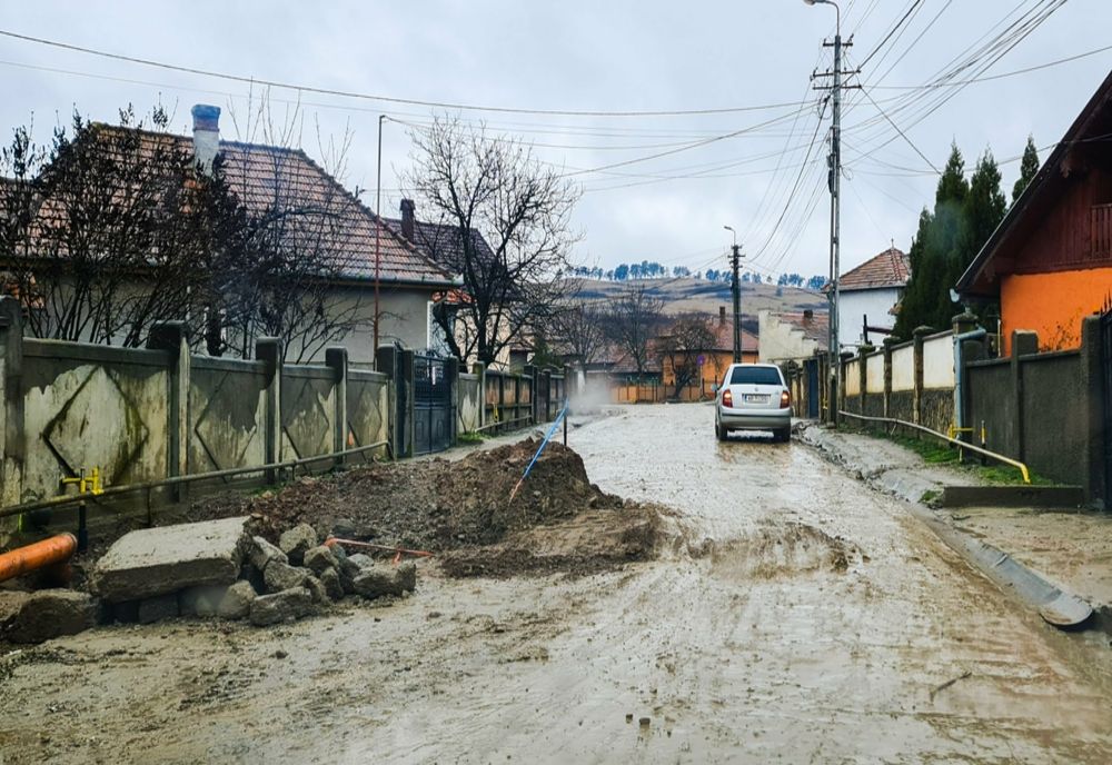 Gabriel Pleșa: ”Companiile care execută lucrări pe domeniul public trebuie să respecte regulile și pe cetățenii municipiului”