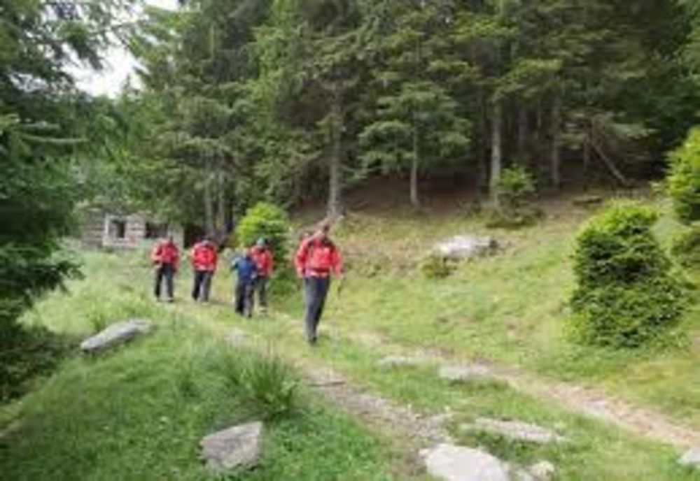 Doi adolescenți din Aiud s-au rătacit în pădure în timpul unei furtuni puternice! Unde au fost găsiți de salvatori
