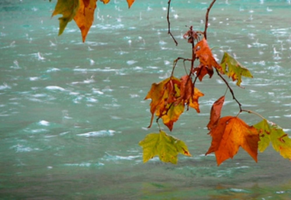 Vreme schimbătoare, cu ceață, ploi, polei și temperaturi peste normalul acestei perioade