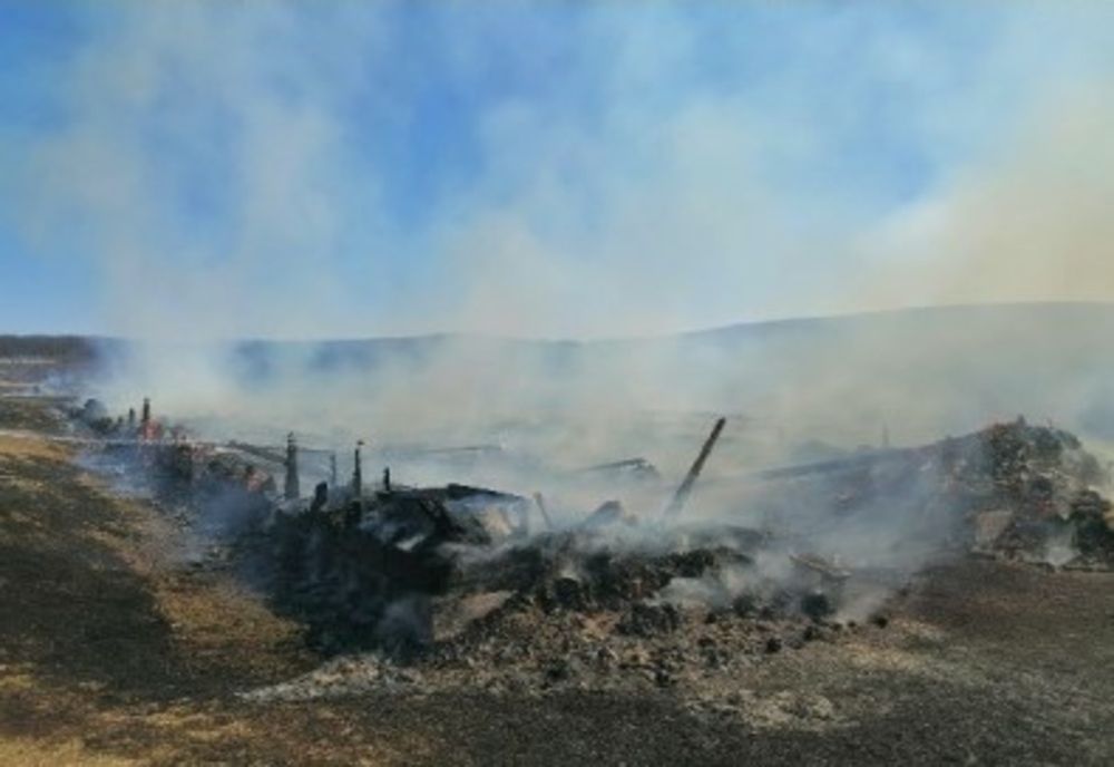 A fost reținut individul care a produs incendiul în care au murit peste 400 de oi 