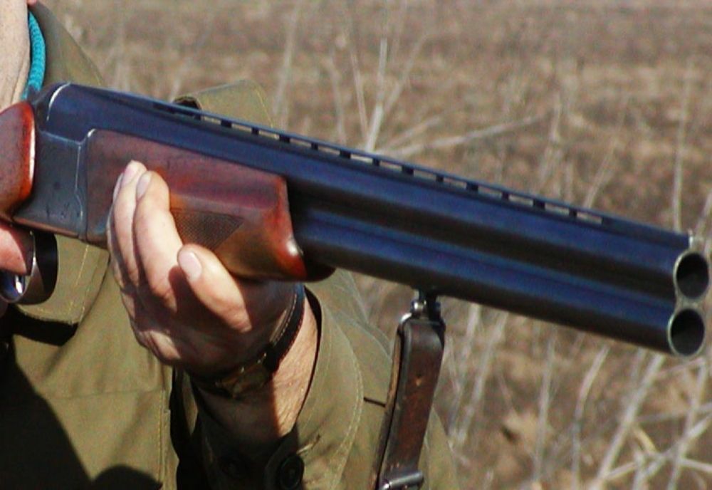 A împușcat fără milă un câine fără stăpân