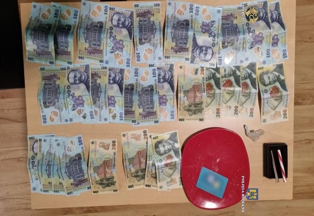 Polițiștii de la BCCO Alba Iulia, au efectuat razii împreună cu procurorii DIICOT la Electric Castle