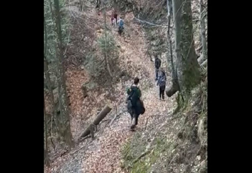 O turistă accidentată la gleznă a solicitat ajutorul salvamontiștilor