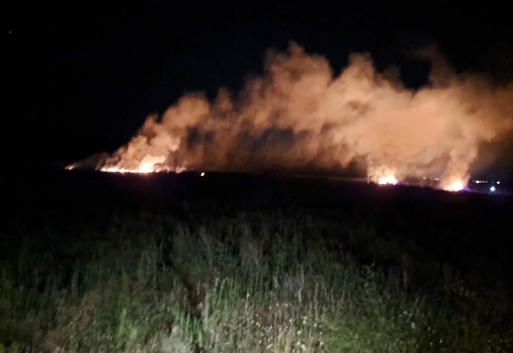 Incendiu de vegetație în zona Gării CFR din localitatea Unirea