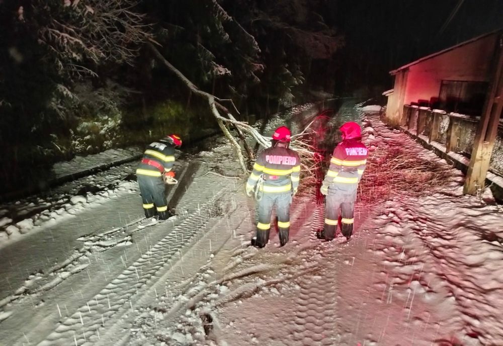Efectele viscolului în județul Alba: copaci căzuți, drumuri blocate