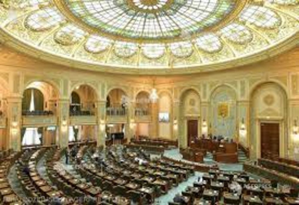 Demisie în Senat, pentru un post la ANRE. Cine va ocupa postul rămas vacant în tabăra PNL?