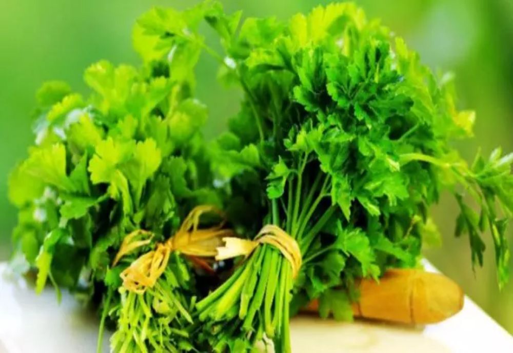 8 beneficii impresionante pentru sănătate ale pătrunjelului. Introdu-l în meniul zilnic și vei observa diferența!